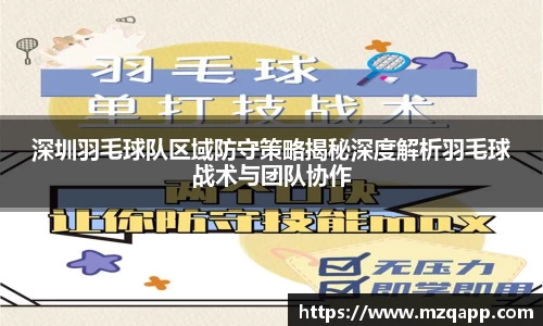 深圳羽毛球队区域防守策略揭秘深度解析羽毛球战术与团队协作