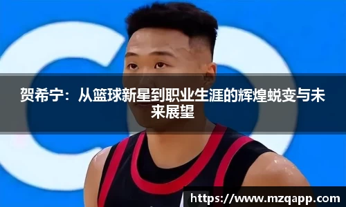 贺希宁：从篮球新星到职业生涯的辉煌蜕变与未来展望
